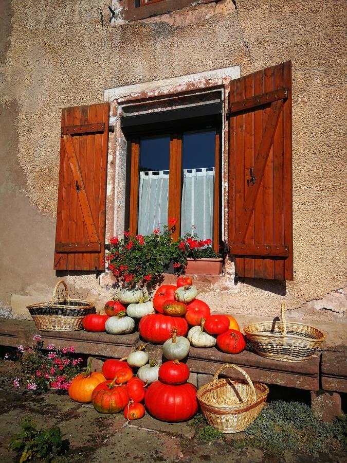 La Maison Du Vannier Raon-les-Leau Luaran gambar