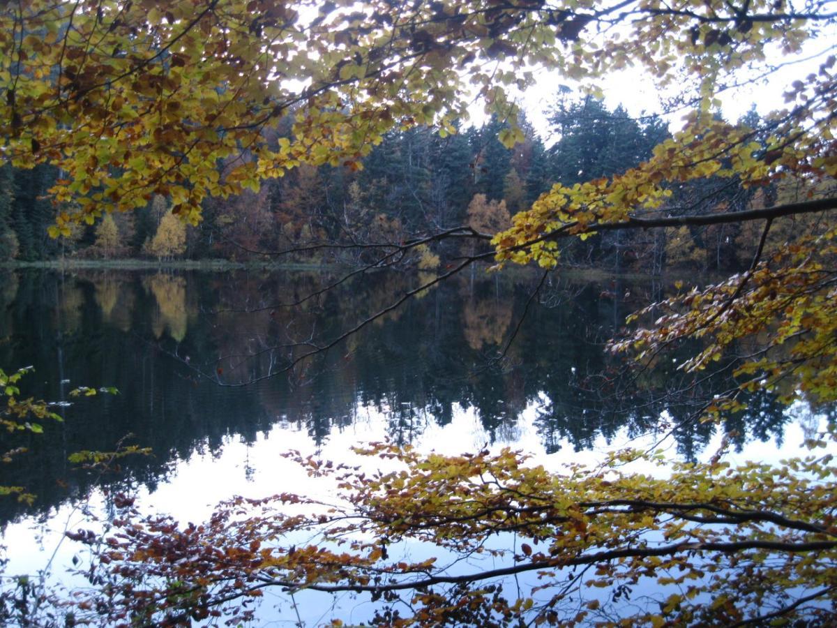 La Maison Du Vannier Raon-les-Leau Luaran gambar