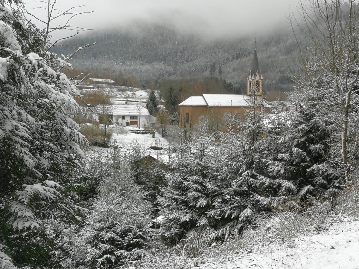 La Maison Du Vannier Raon-les-Leau Luaran gambar