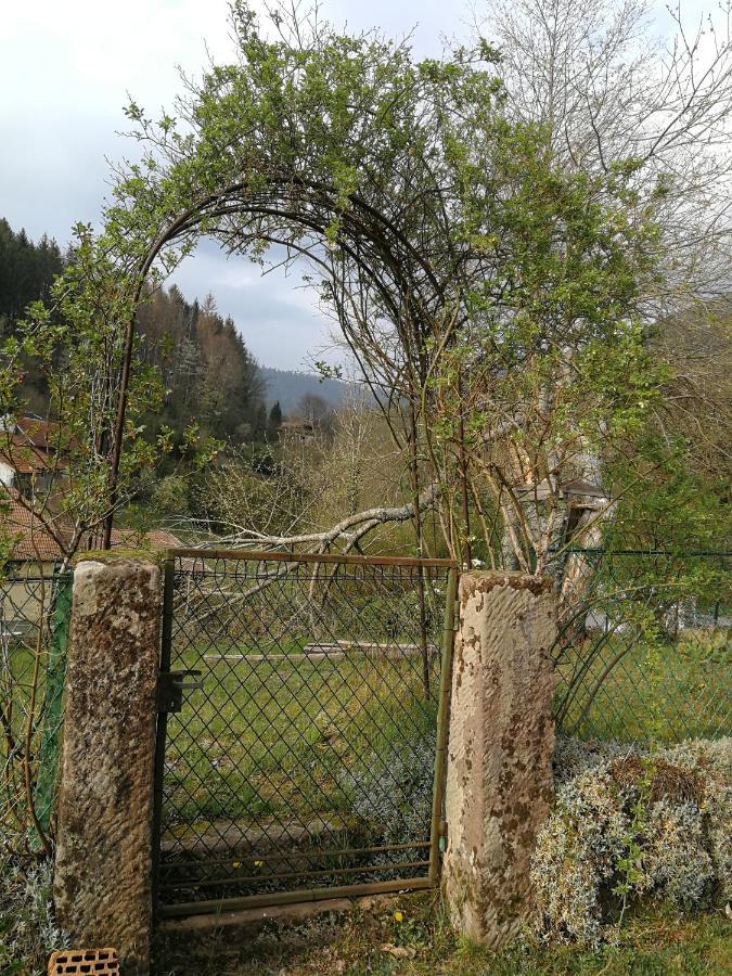 La Maison Du Vannier Raon-les-Leau Luaran gambar
