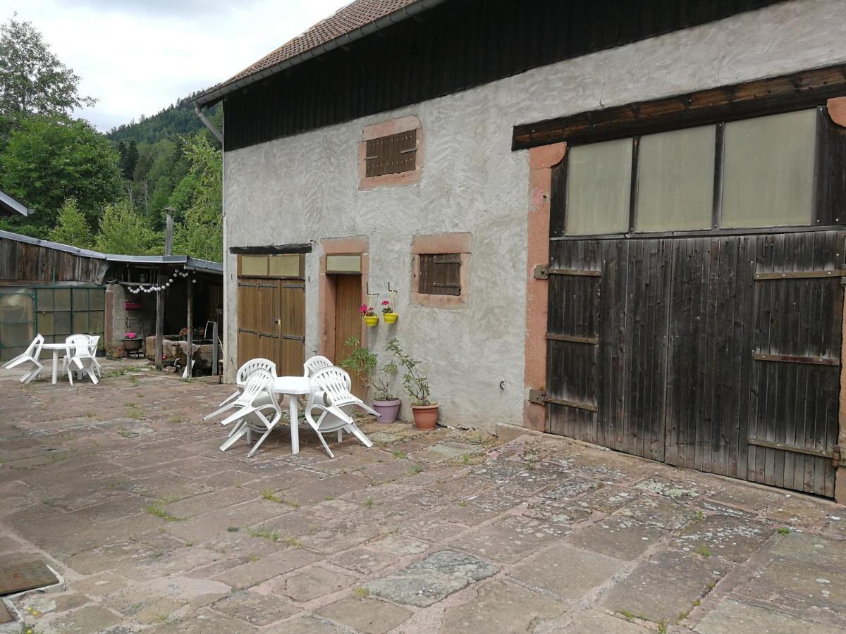 La Maison Du Vannier Raon-les-Leau Luaran gambar