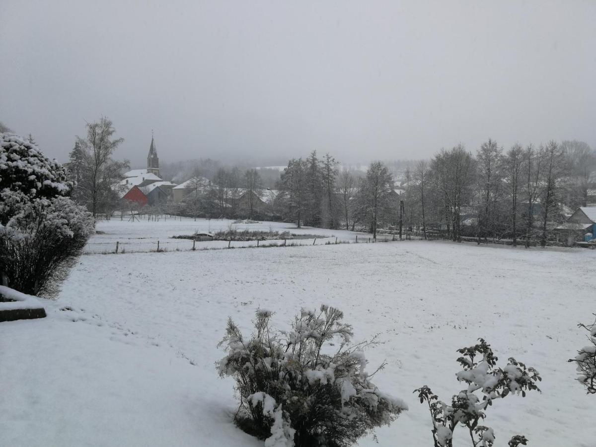 La Maison Du Vannier Raon-les-Leau Luaran gambar