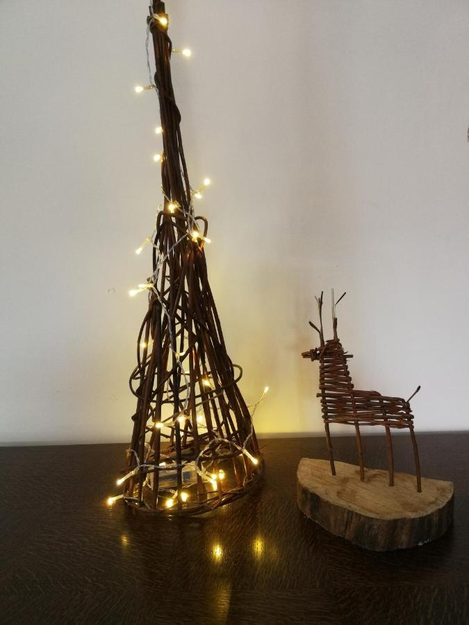 La Maison Du Vannier Raon-les-Leau Luaran gambar