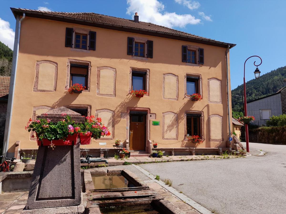 La Maison Du Vannier Raon-les-Leau Luaran gambar