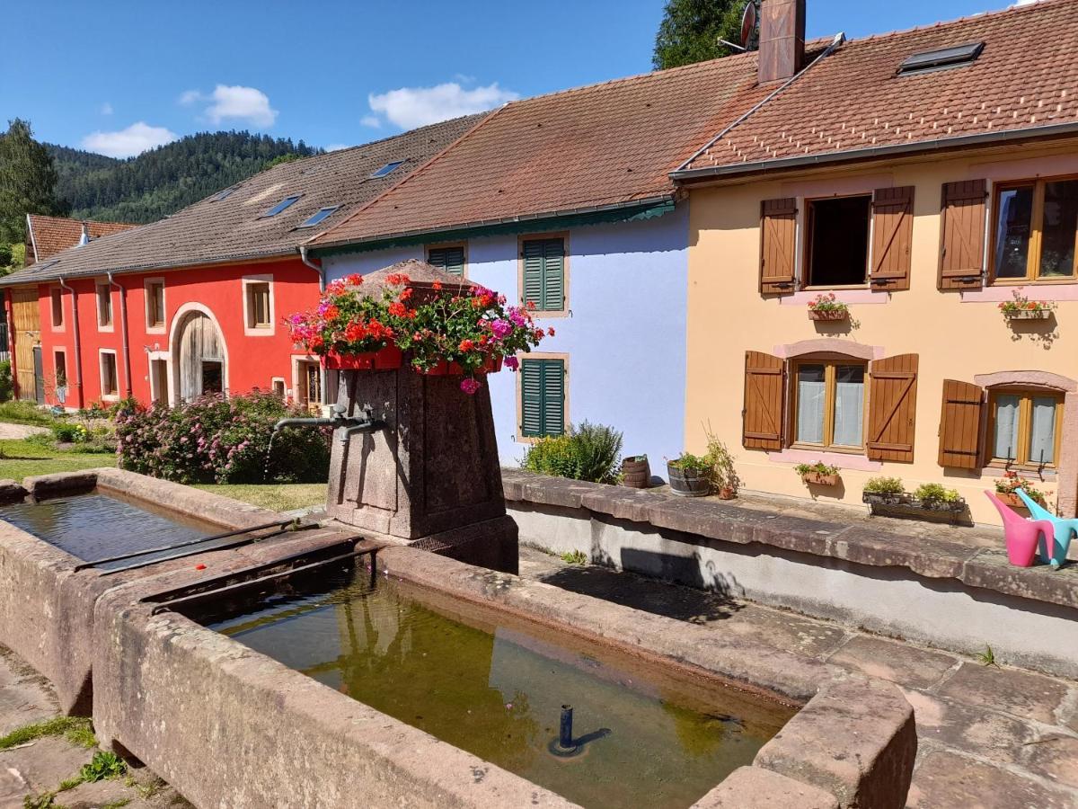La Maison Du Vannier Raon-les-Leau Luaran gambar